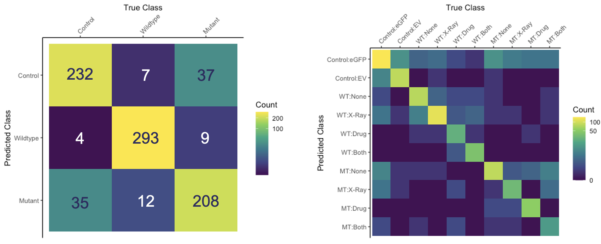 Confusion Matrix